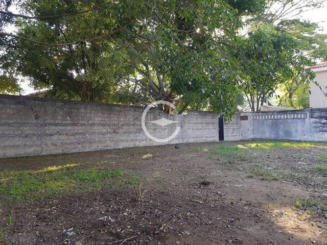 #TE0510 - Terreno para Venda em São Paulo - SP - 2