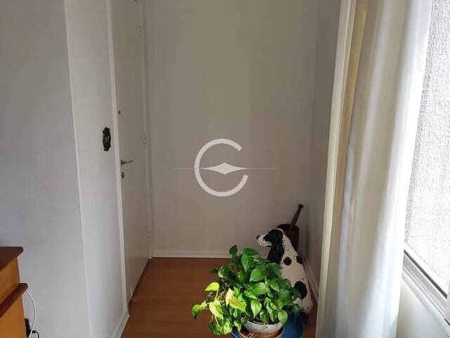 #62034712 - Apartamento para Venda em São Paulo - SP - 3